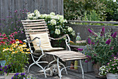 Balcony with Conetto 'Banana' 'Raspberry' 'Butterfly Kisses' sun hat, shrub hydrangea, verbena, lilac, deck chair and Hera dog
