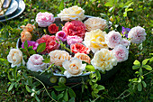 Bowl of rose petals