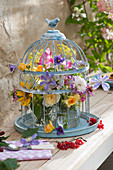 Bouquets of summer flowers in a bird cage: roses, gladiolus, fennel flowers, sunflower and clematis