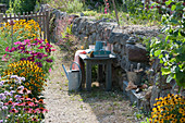 Garden path between blooming summer bed and dry stone wall