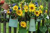 Sträuße aus Sonnenblumen, Kugeldisteln, Brombeeren, Wicke, Winde und Goldrute am Gartenzaun