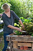 Self-made raised bed from pallets