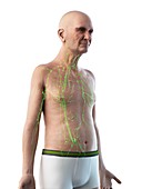 Illustration of an old man's lymphatic system