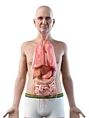 Illustration of an old man's internal organs