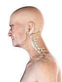 Illustration of an old man's skeletal neck