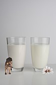 A glass of cow milk and a glass of almond milk
