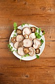 A plate of shiitake mushrooms (Lentinula edodes)