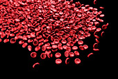 Red blood cells,illustration