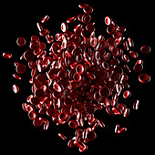 Red blood cells,illustration