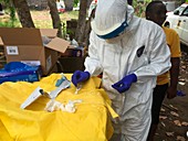 Ebola diagnostic testing