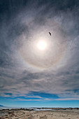 22-degree solar halo