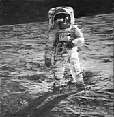 Buzz Aldrin on the Moon, illustration