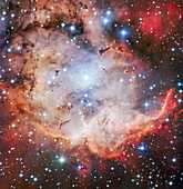 Starbirth region NGC 2467, optical image