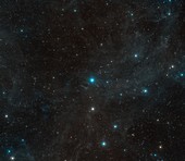Surroundings of the star HR 8799, optical image
