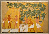 Egyptian tomb scene, illustration