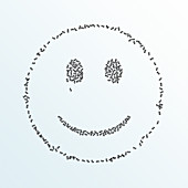 Ants forming a smiley face, illustration