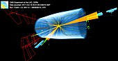 Heavy ion collision event in CERN's CMS detector