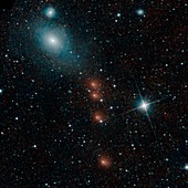 Comet C 2013 A1 Siding Spring, NEOWISE images