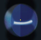 Kuiper belt and Oort cloud, illustration