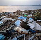 Plastic rubbish on shore