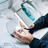 Prosthetic dentistry technician at work