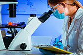 Scientist using microscope