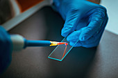 Scientist preparing microscope slide