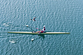 Man rowing scull