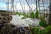 Washed up plastic on shore