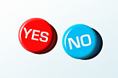 Yes and No badges, illustration