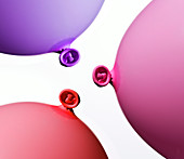 Three balloons