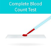 Complete blood count test, illustration