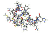 Molecule of scorpion chlorotoxin