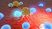 Lymphocytes attacking cancer cells, illustration