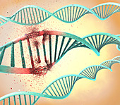Damaged DNA molecule, illustration