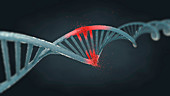 Damaged DNA molecule, illustration