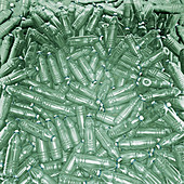 Plastic bottles, illustration