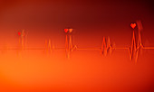 Electrocardiogram, illustration