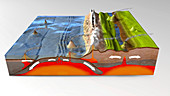 Plate tectonics, illustration