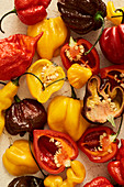 A colourful mix of the hottest chilli peppers in the market
