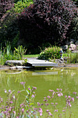 Steg am Teich im sommerlichen Garten