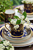 Bird cherry blossom in antique cup
