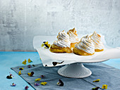 Queen Of Puddings mit Zitronen-Holunderblüten-Creme