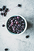 A bowl of wild blueberries