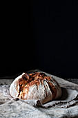 Loaf of fresh country sourdough bread placed on piece of wood on shabby table against black background