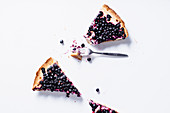 Pieces of summer tart with fresh blueberries
