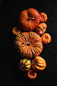 Autumnal Pumpkins