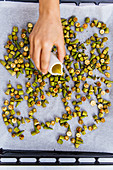 Gehackte Onkraschoten auf Ofenblech mit Olivenöl beträufeln