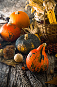 Herbstliche Deko mit Kürbissen, Kastanien und Maiskolben zu Thanksgiving