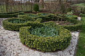 Knot garden in early spring